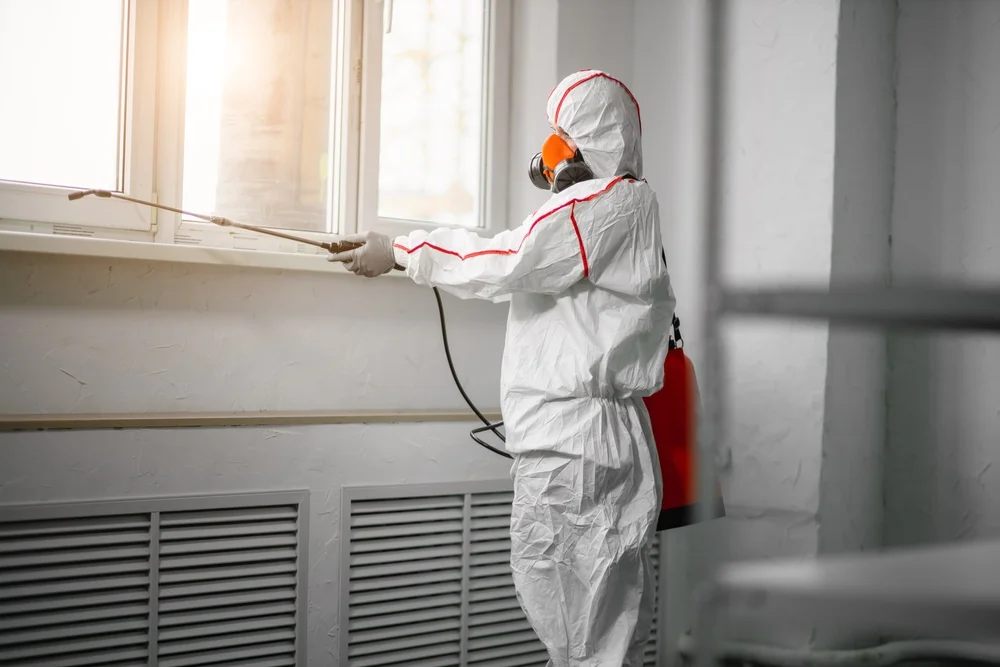 Professional mold remediation services in Blue River, OR